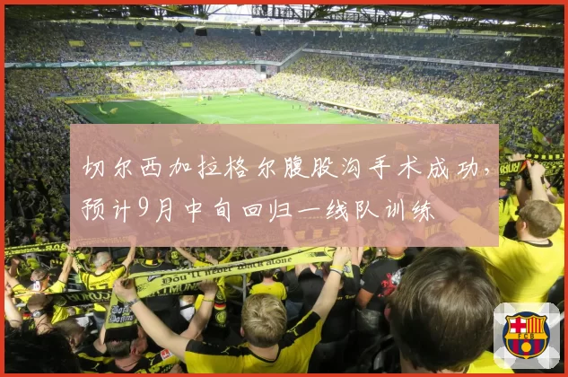 切尔西加拉格尔腹股沟手术成功，预计9月中旬回归一线队训练