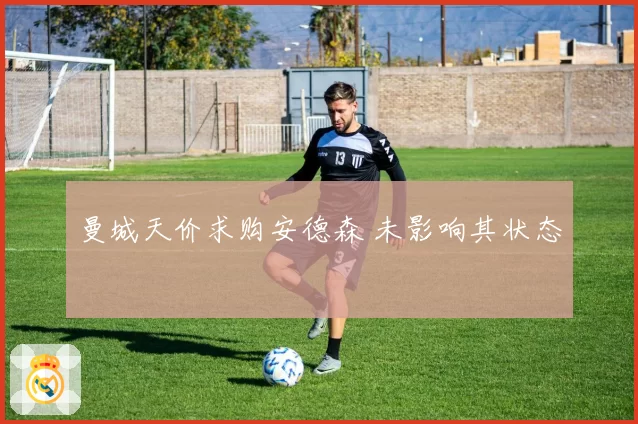 曼城天价求购安德森 未影响其状态