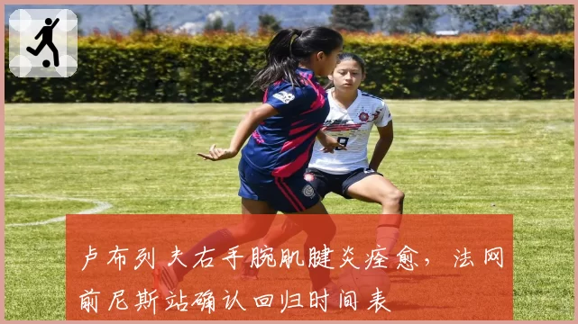 卢布列夫右手腕肌腱炎痊愈，法网前尼斯站确认回归时间表