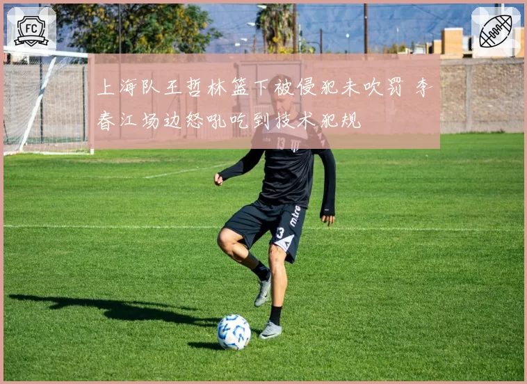 上海队王哲林篮下被侵犯未吹罚 李春江场边怒吼吃到技术犯规