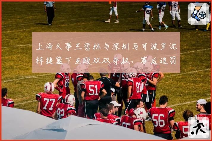 上海久事王哲林与深圳马可波罗沈梓捷篮下互殴双双夺权，赛后追罚有人轻有人重？