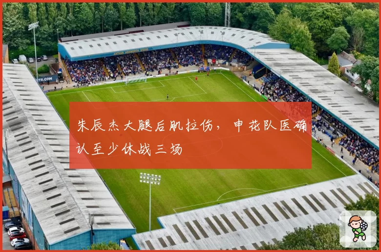 朱辰杰大腿后肌拉伤,申花队医确认至少休战三场